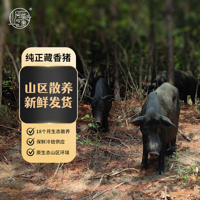 山河柴贵自然散养藏香猪肉