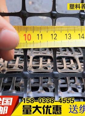 防晒漏粪铺底网养鸡鸭床网小孔养殖网床脚垫网黑色蛋鸭塑料网床