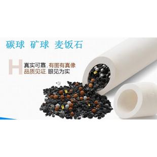 净水器滤芯净水机滤芯饮水机10寸陶瓷2只装 台式 过滤器自来水家用