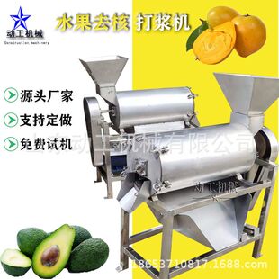 大型水果去核打浆机草莓树莓单道打浆机工业西红柿打浆机
