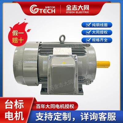Tatung授权台标S3三相异步电动机大同电机大同马达