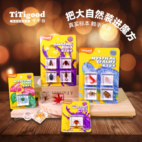 TITIGOOD千千谷魔块标本
