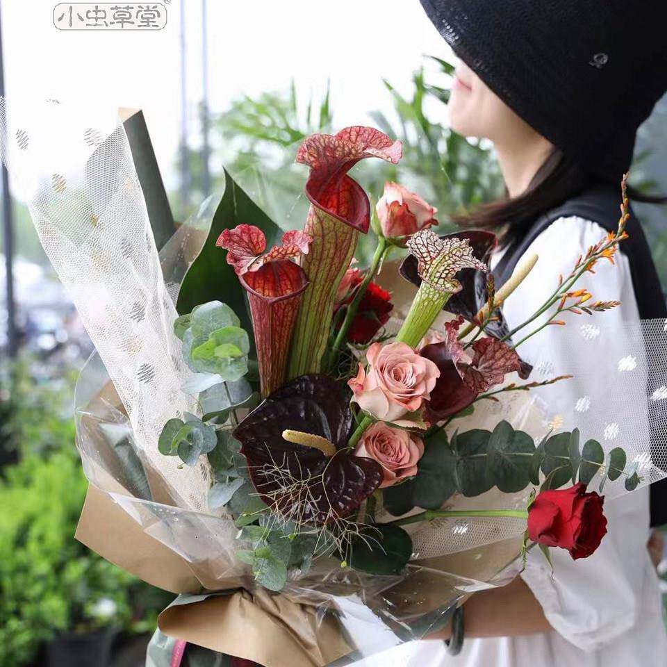 BVQ直批水养家庭花店小众花材切叶鲜花花束花材朵绢花植绒其它