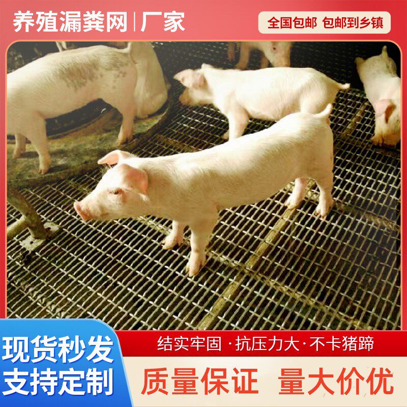漏粪网猪床网猪用漏粪板保育肥产床网钢筋网狗笼铺底网养猪铁丝网