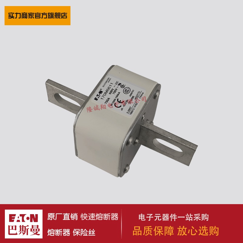 熔断器170M6557 170M6581 170M6586 170M6587 170M6600 170M6629