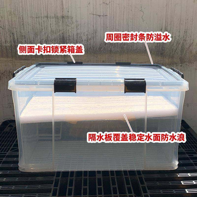 车载鱼箱后备箱户外钓鱼渔具收纳箱水箱直角加厚塑料周转箱密封条,户外/登山/野营/旅行用品,钓箱,淘宝优惠券,粉丝福利购,淘宝优惠卷