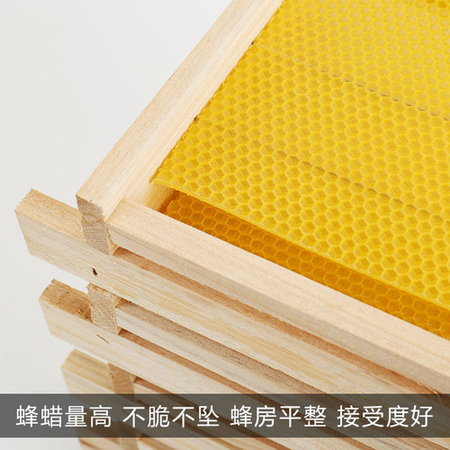 中蜂42b成品巢框带框巢础蜂框蜜蜂巢框架巢脾蜂箱杉木巢框中蜂专