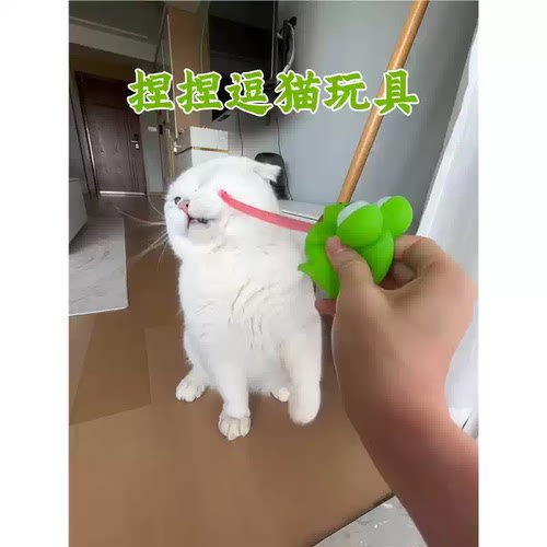 青蛙吐舌头恐龙捏捏乐逗猫玩具