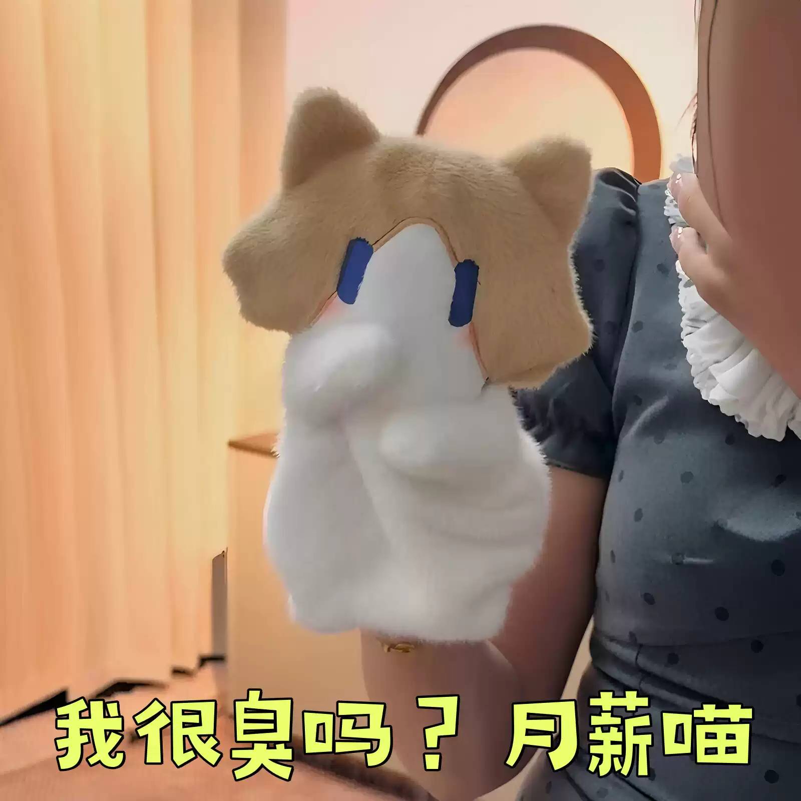 月薪喵手偶可爱小猫咪玩偶我很臭