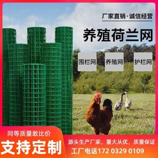 孝邦小孔绿网格包塑电焊网铁丝网围栏养殖网养鸡网荷兰网钢防护网