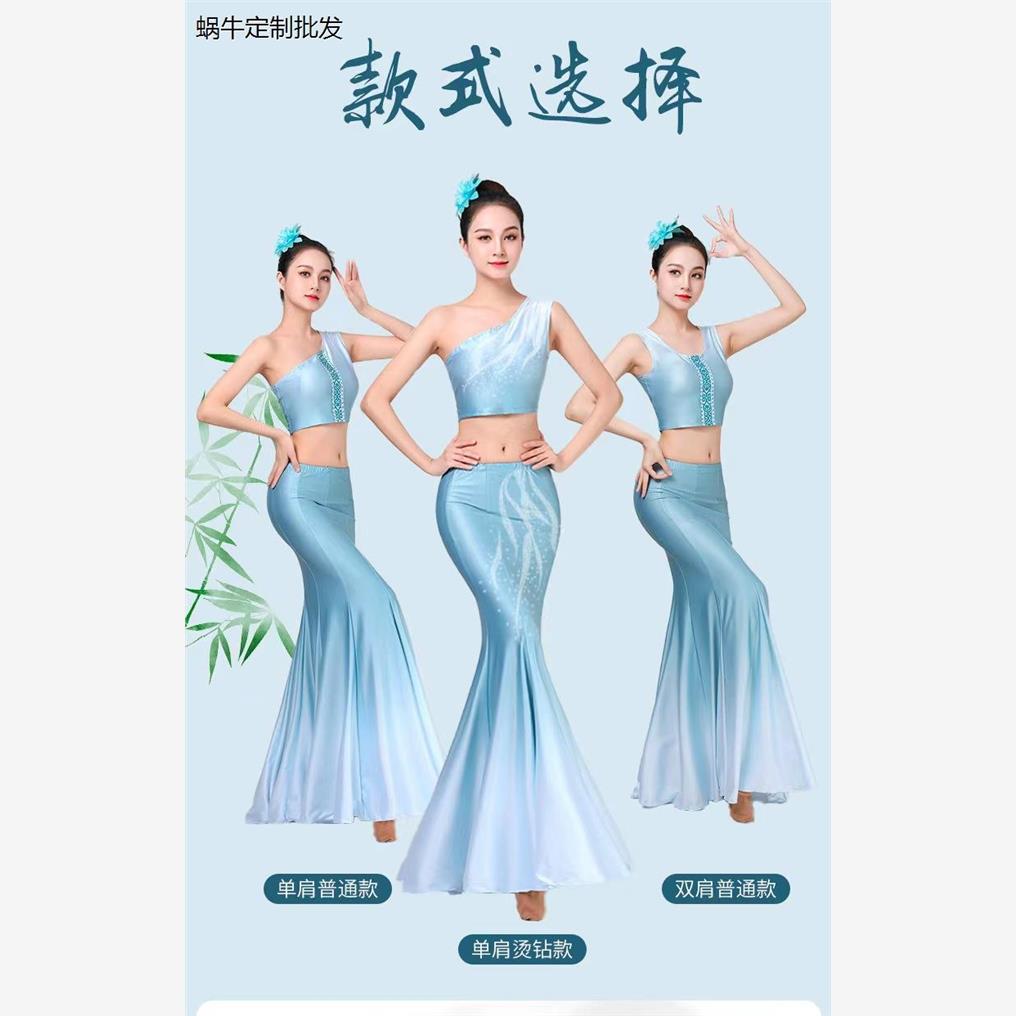 傣族舞蹈演出服艺考服装少数民族表演服孔雀舞包臀练功练习鱼尾裙