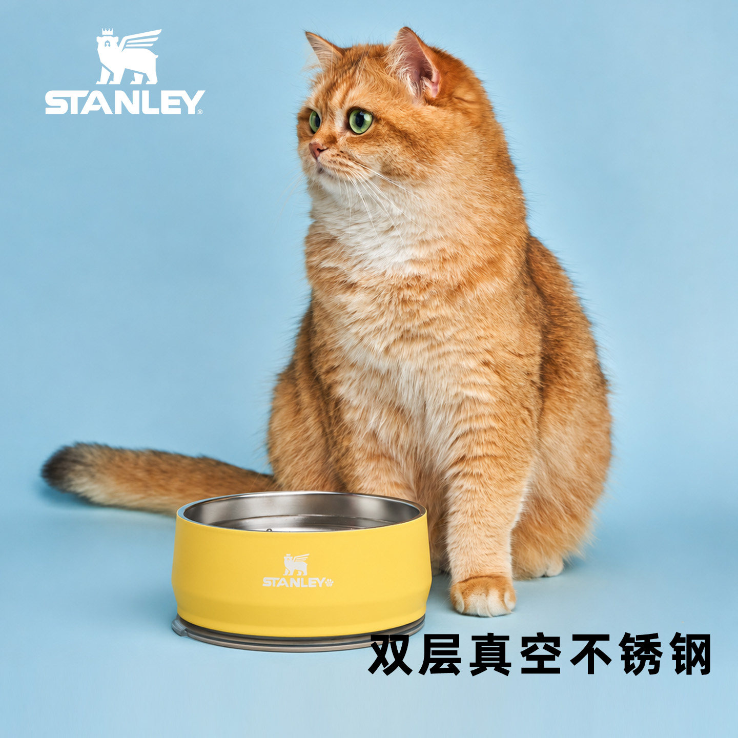Stanley 1913宠物碗慢食碗高颜值不锈钢防滑防打翻大口径猫狗碗图片