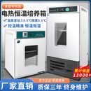 电热恒温培养箱恒湿试验箱微生物发催芽细菌霉菌生化实验室BOD箱