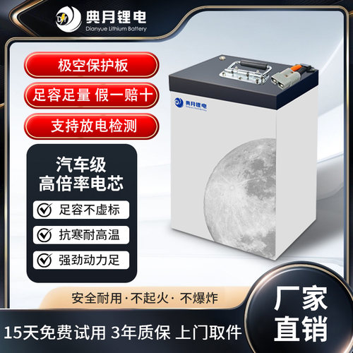典月全新A品电动车锂电池铁锂
