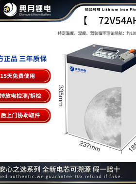 典月锂电池适用于智迈X1 金箭plus 零界三元锂电摩大容量磷酸铁锂