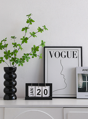 优选现代ins风玄关摆件客厅卧室装饰画电视柜摆花高级感小众艺术