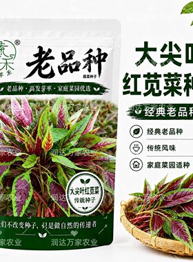 老尖菜子可子转基因红苋