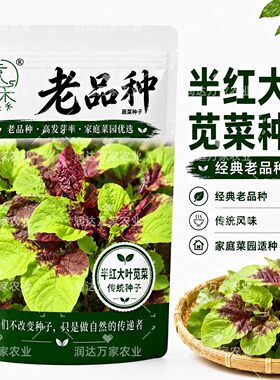 种半大苋菜种非基籽老品
