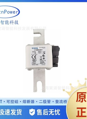 170M4261 350A 700V全新现货 框架式熔断器/熔芯 低压熔断器