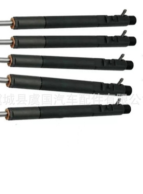 28437695/28457628/28397569喷油器A6650170221 EJBR04401D