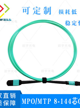 MPO-MPO MTP-MTP光纤跳线8芯12芯24芯48芯万兆OM3 OM4长度