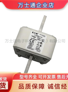 170M6308170M6309170M6310170M6311170M6312/6313全新熔断器