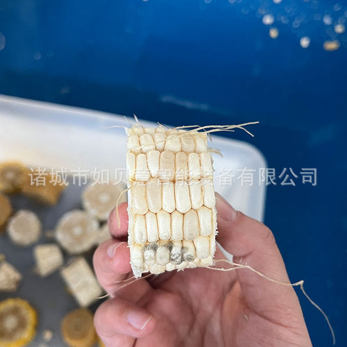 现货甘蔗切段机 玉米切段清洗设备 鲜玉米分段机