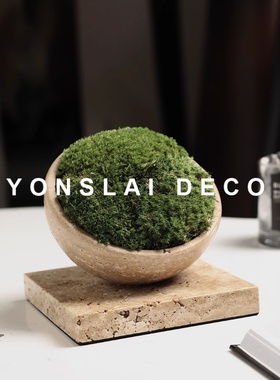 优选现代仿真绿植苔藓盆栽桌面摆件样板间售楼处家居办公室茶几软