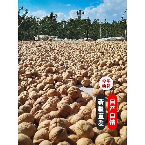 2025新货新疆阿克苏纸皮核桃 薄皮手剥原味185核桃自然晒干不加工