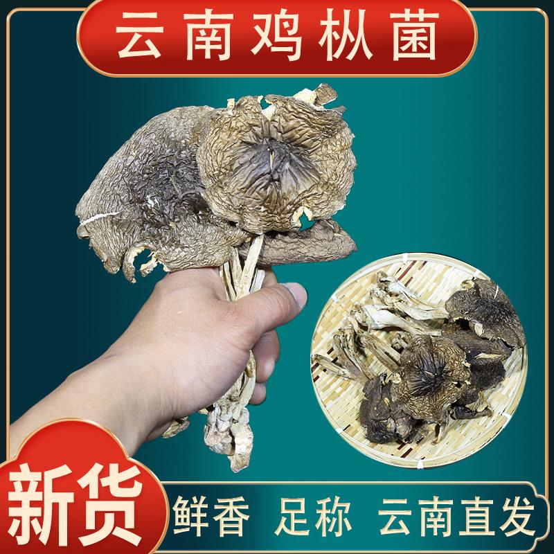 鸡枞菌干货500g 云南特产新货干野生鸡枞菌火把菇菌子蘑菇煲汤