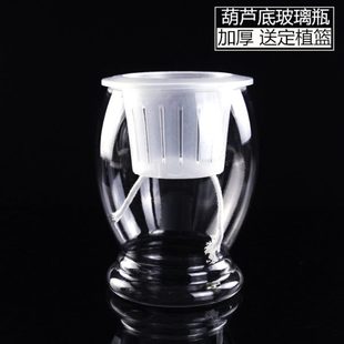 透明花盆葫芦底水培绿萝花瓶 水培植物玻璃瓶 自吸水花瓶懒人花盆