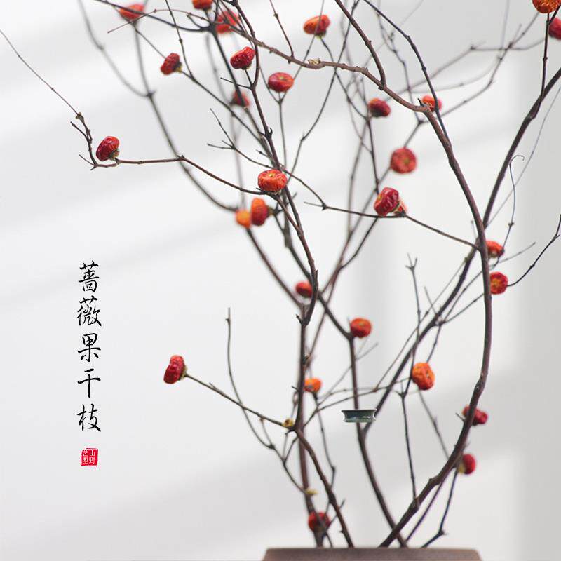 蔷薇果干 干树枝枯梅花天然干 干燥花枝玄关壁龛装饰摆饰客厅禅意