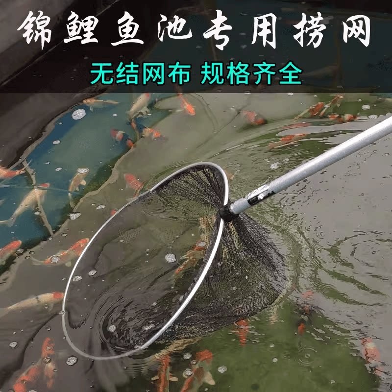 锦鲤专用大捞网鱼池伸缩捞鱼网不伤鱼手捞网网兜加厚铝合金鱼捞