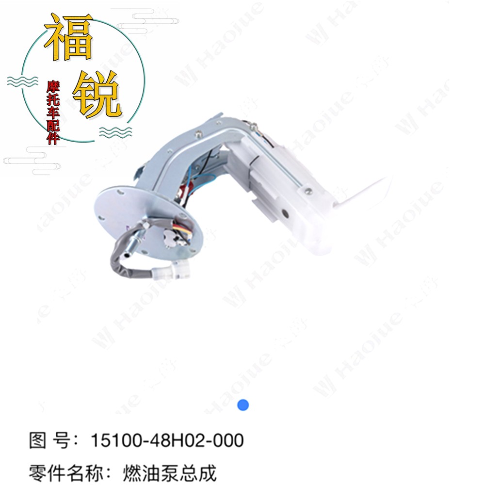 适用豪爵机车GSX250R DL250 GW250 DR250 DR300汽油泵燃油泵原