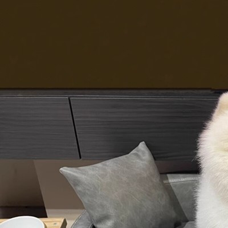 高端质感PU皮狗沙发秋冬季狗窝中大型犬金毛大号法斗宠物牀不粘毛