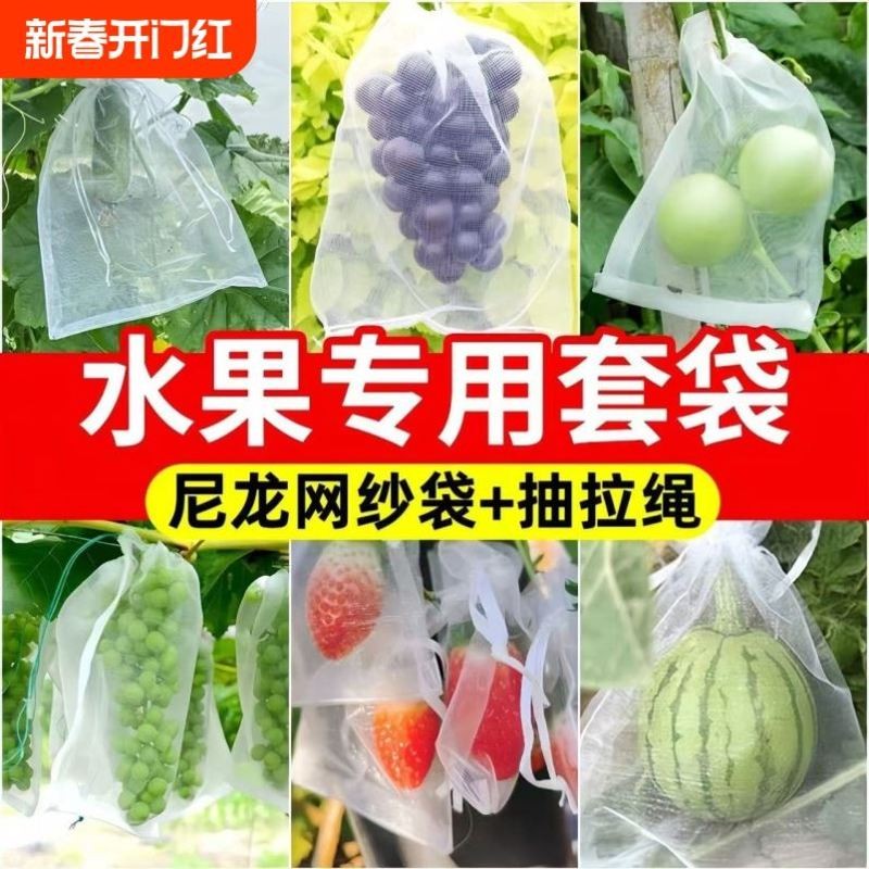 防鸟防虫网袋水果保护袋番石榴无