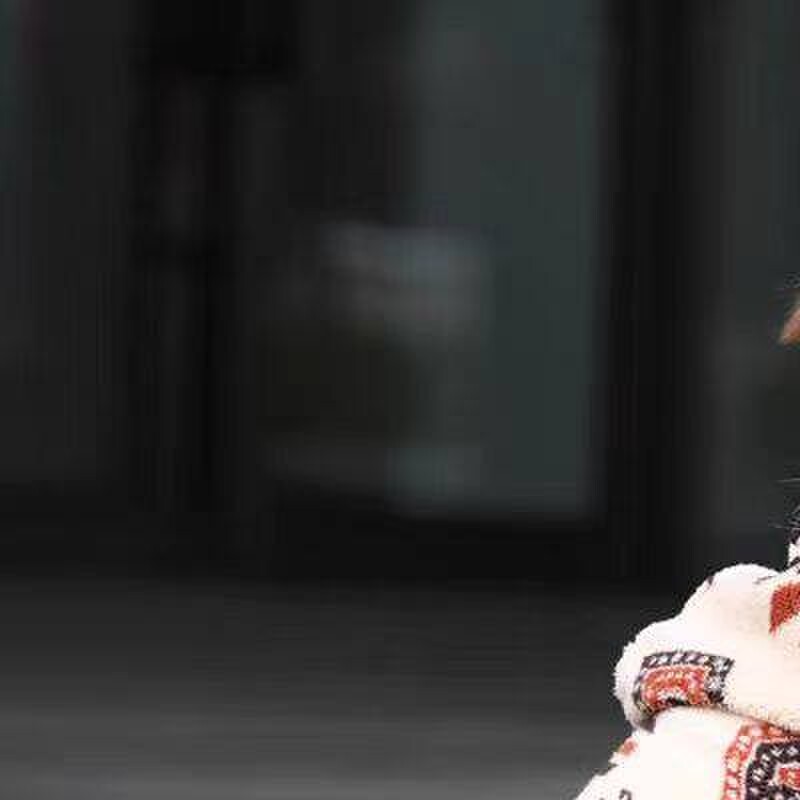狗狗衣服冬装加绒加厚连帽运动衫边境牧羊犬衣服拉布拉多萨摩中大