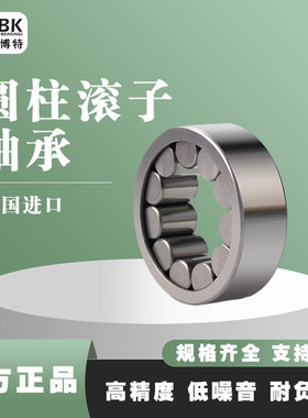 德国KBTBK进口圆柱滚子轴承N312 N313 N314 N315EM 铜保持架