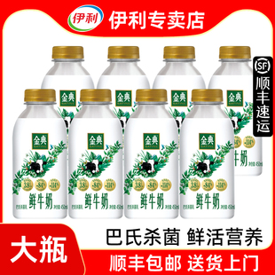 【顺丰发货】伊利金典鲜牛奶450ml大瓶装巴氏杀菌低温鲜奶早餐奶