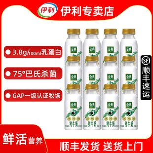 伊利金典鲜牛奶235ml瓶装【顺丰包邮】鲜奶低温奶牛奶巴氏杀菌乳