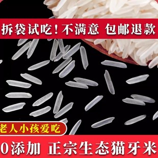 2024年新米正宗猫牙米晚稻丝苗超长粒香米大米5斤10煲仔饭蛋炒饭