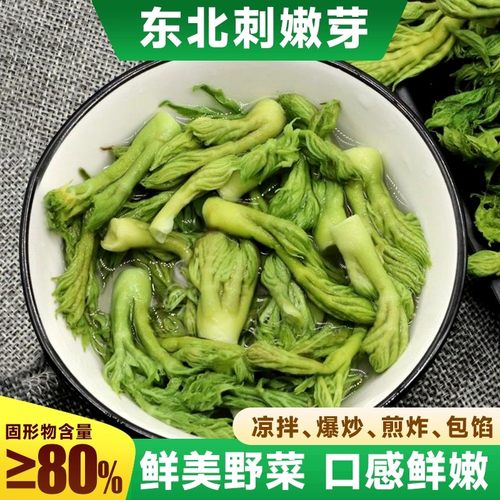 东北刺嫩芽新鲜头茬野生山野菜