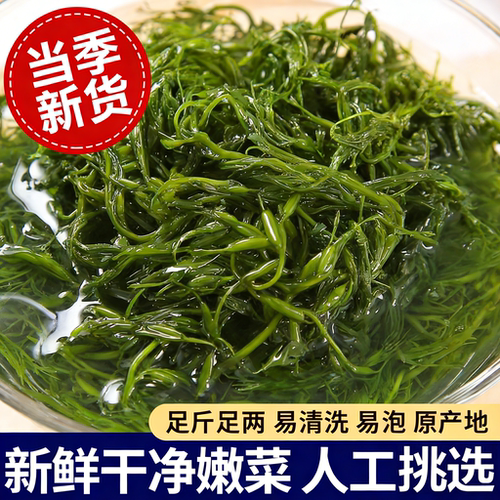鞭炮笋长寿菜盐渍马尾藻羊栖菜