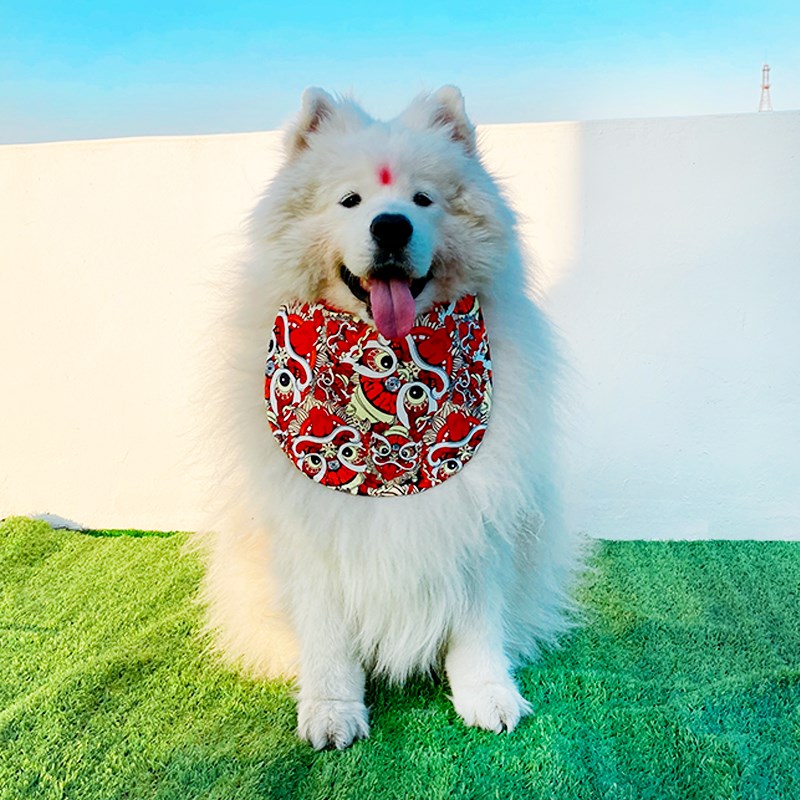 新年宠物狗狗中大型犬口水巾萨摩耶阿拉斯加金毛围脖口水围兜装饰