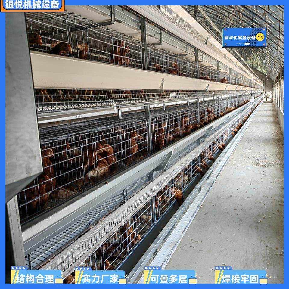 厂家全自动化捡蛋喂料蛋鸡设备/养鸡设备小层叠支持出口全国,农机/农具/农膜,农用防护器具,淘宝优惠券,粉丝福利购,淘宝优惠卷