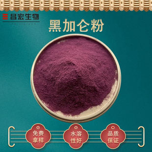 黑加仑粉98% 黑醋栗汁粉 黑加仑速溶粉 黑加仑果粉 现货包邮