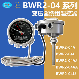 变压器绕组温度计 国产 绕组温控器 仪器仪表 台 大连世有 BWR204