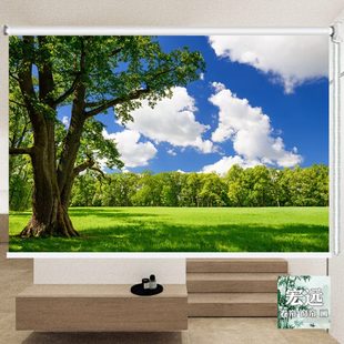 包邮 3D风景图案绿树草原办公室客厅遮光升降卷帘玄关隔断挂画窗帘