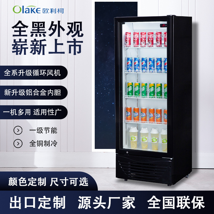 冷藏柜展示柜风冷小型饮料柜水果保鲜柜商用立式风幕柜海雪啤酒柜