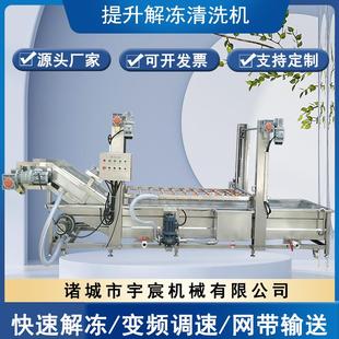 全自动冻盘鸭头解冻机商用冻鱼猪蹄鸡爪化冻机龙门架提升解冻机